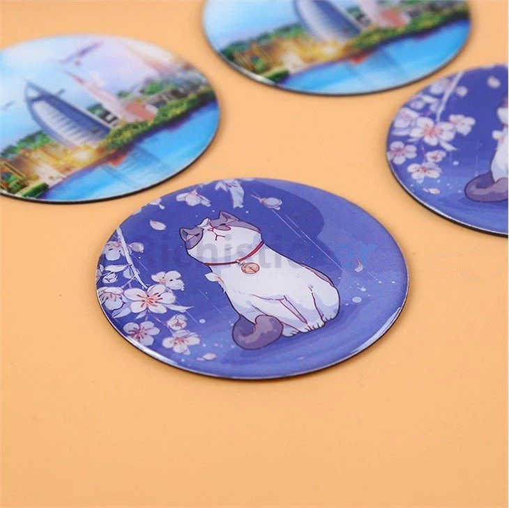 fridge magnet (4)